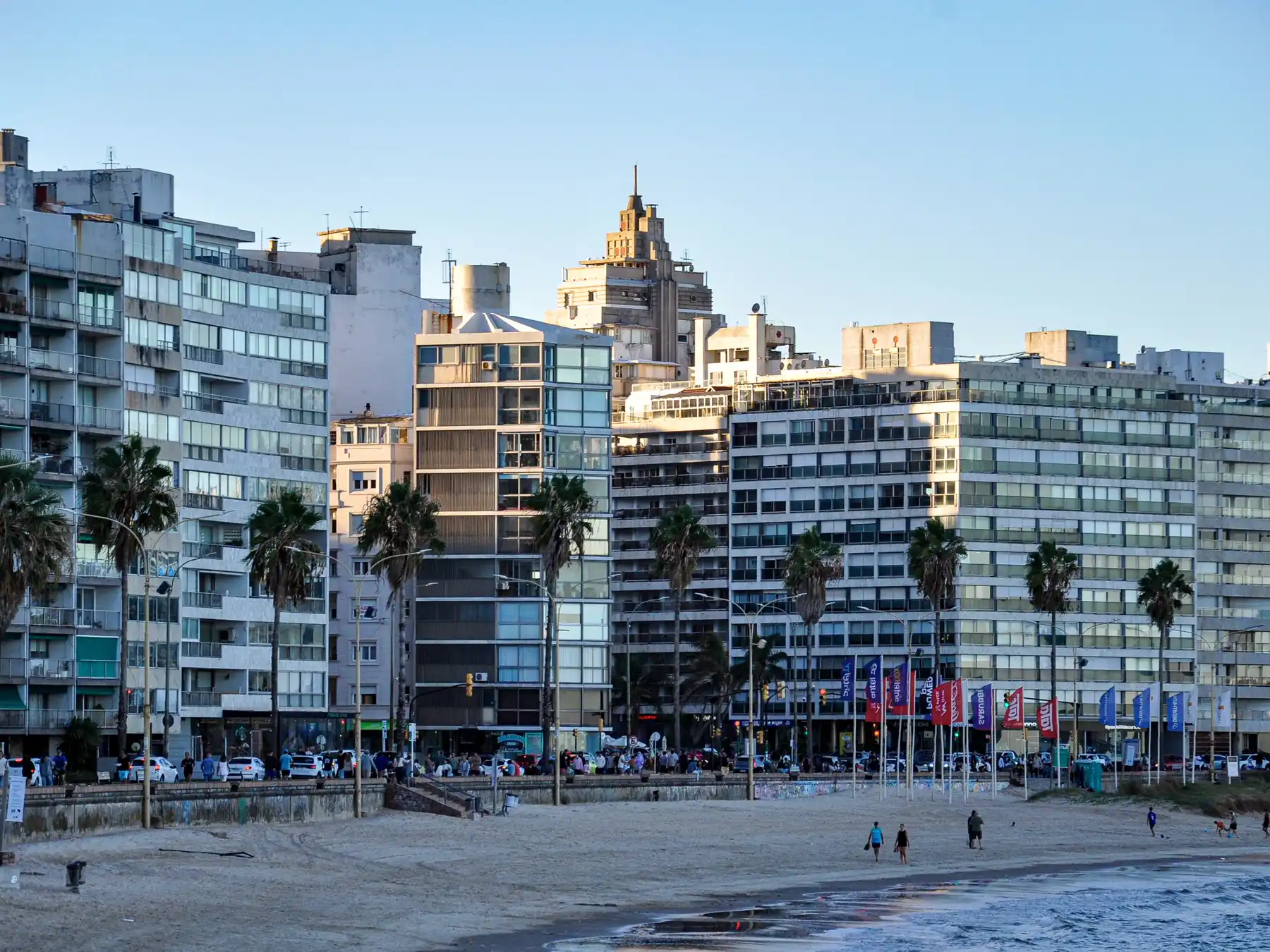 Palm trees and city buildings along Montevideo's Rambla waterfront.