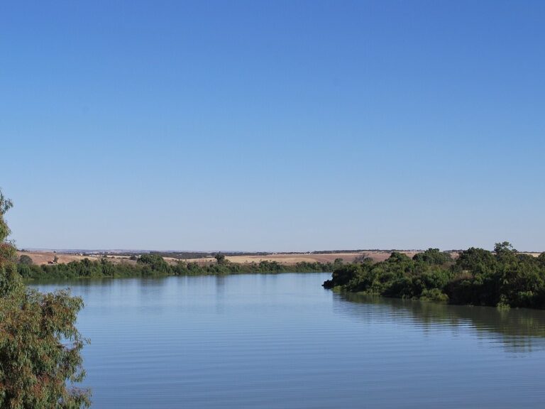 The Murray River at Murray Bridge, South Australia