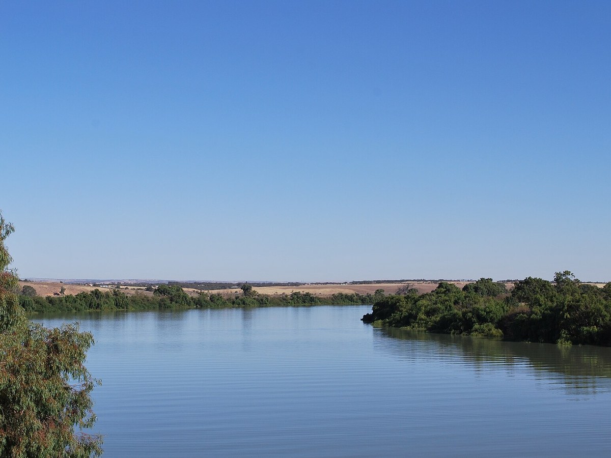 The Murray River at Murray Bridge, South Australia
