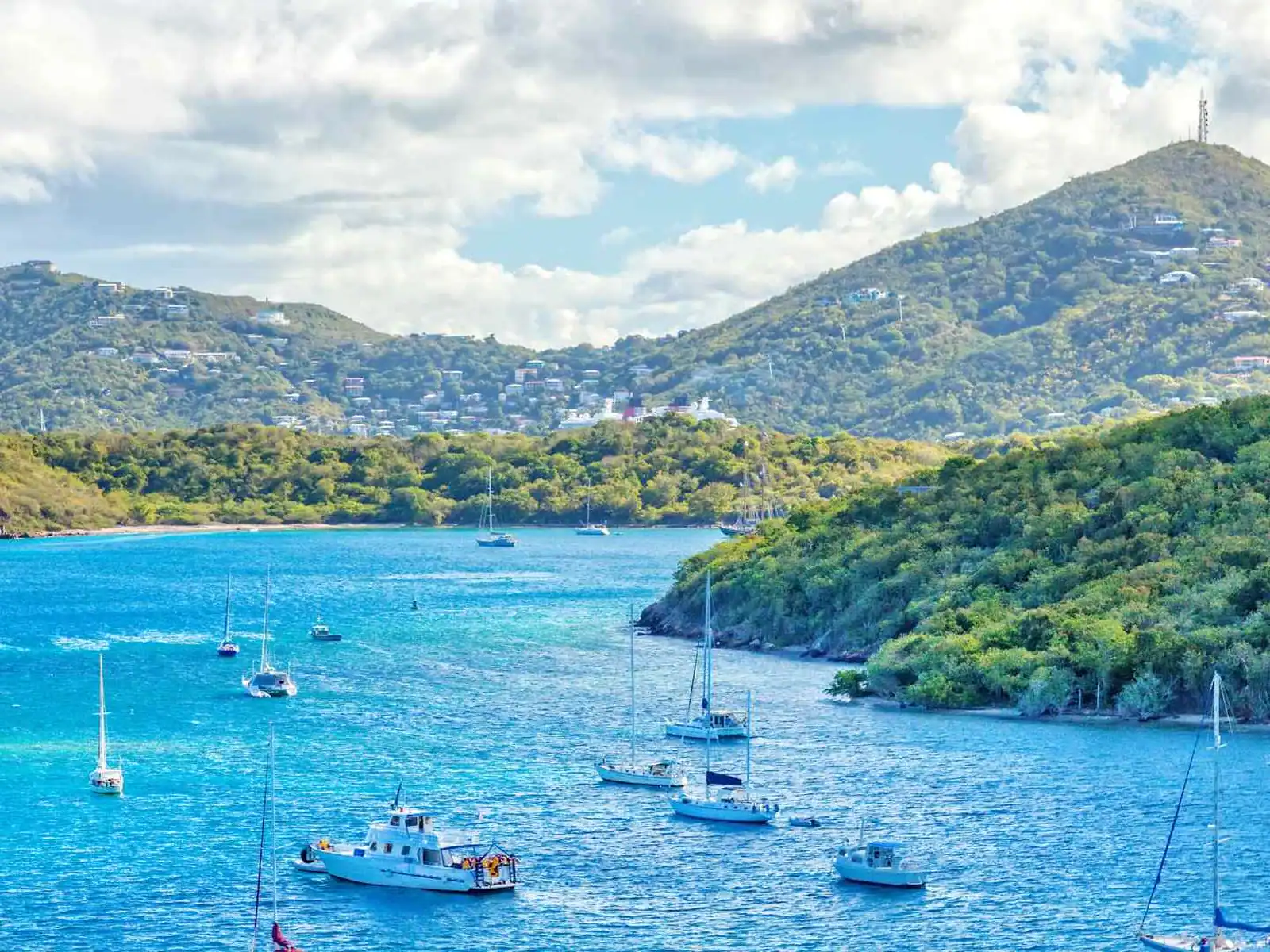 Sailboats anchored in a green bay in Saint Thomas