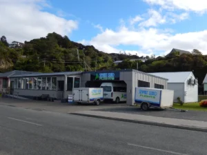 Featured image for Oban, Stewart Island Cruise Port: Tender & Nature Guide
