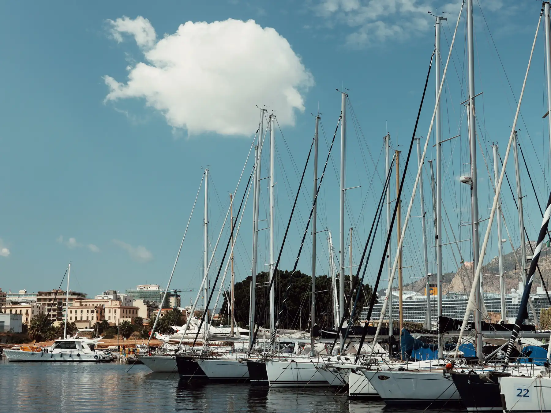 Sailboats moored in Palermo's marina beside the waterfront.