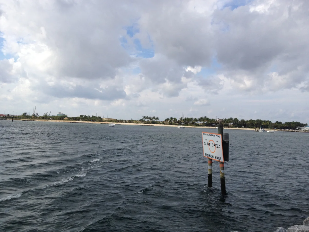 Quiet marsh-side tidal inlet along the Southeast coast