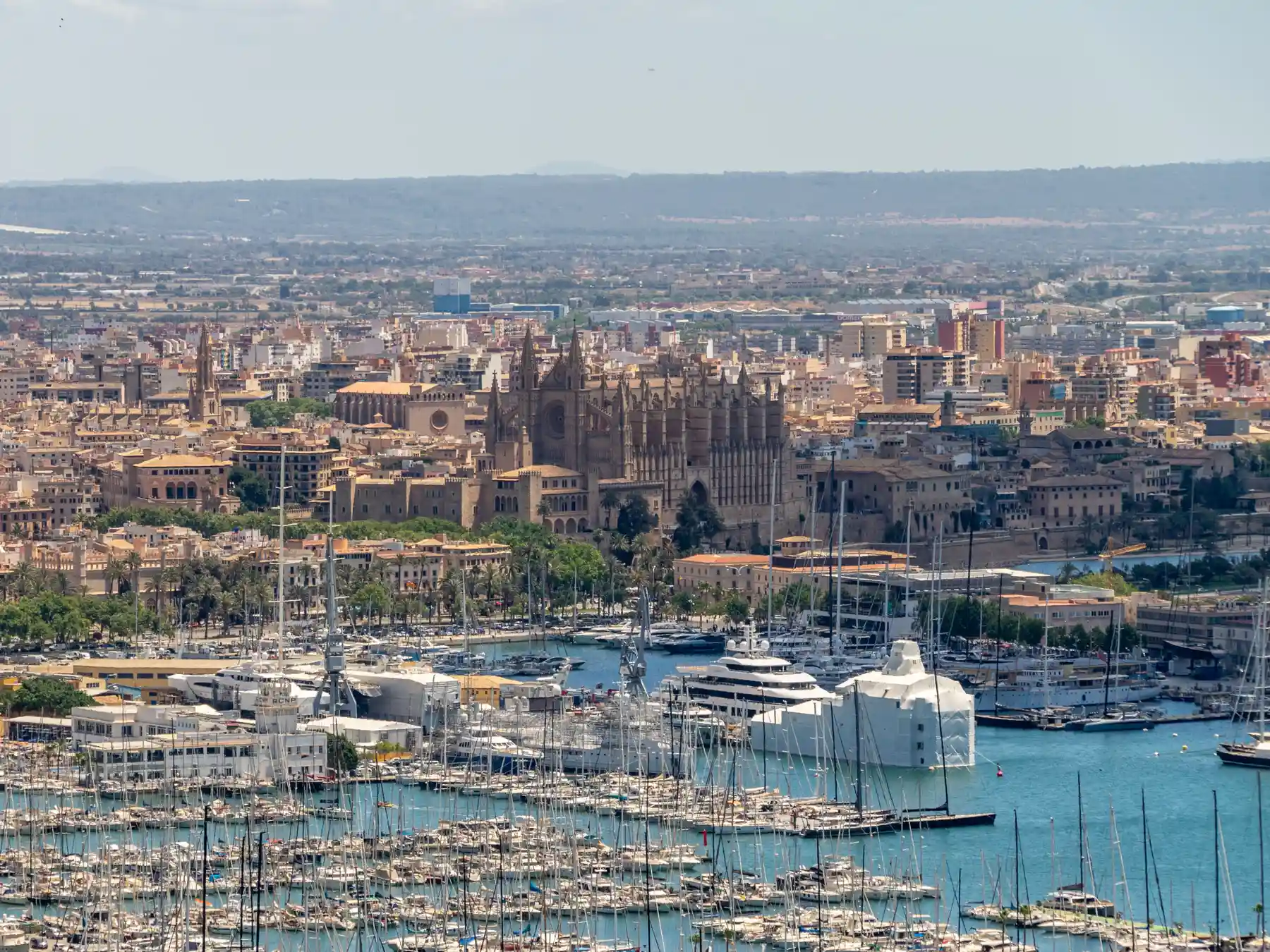 Palma de Mallorca marina with La Seu Cathedral and the city skyline behind it.