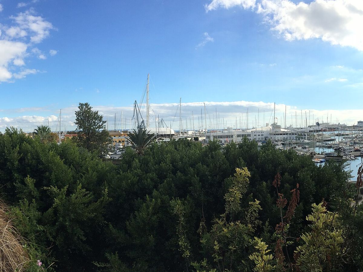 Palma de Mallorca: Mallorca (22031963773)