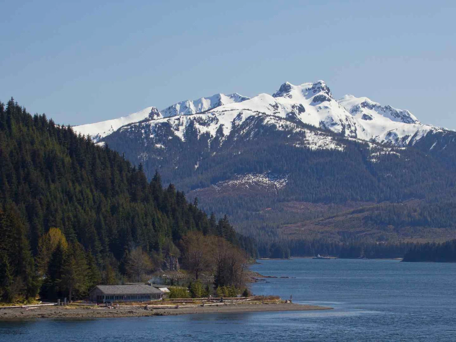 Snow-covered mountain above the forested Alaskan shoreline