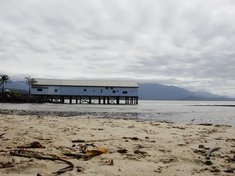 Port Douglas Cruise Port Guide: Tender, Reef & Rainforest