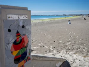 Featured image for Puerto Madryn Cruise Port Guide: Pier, Wildlife & Patagonia