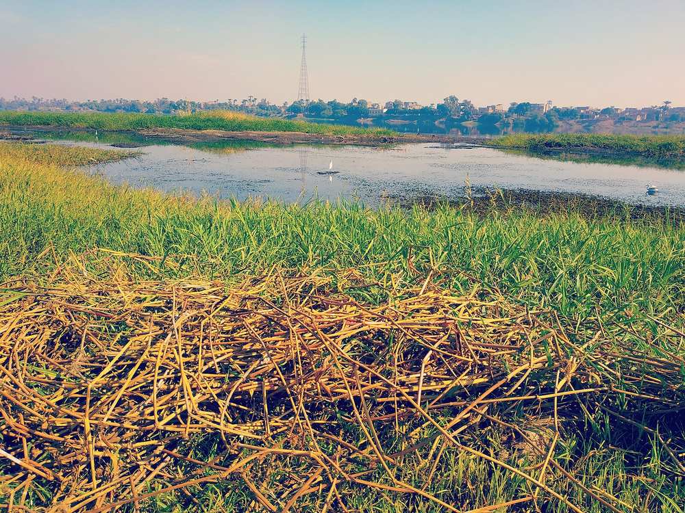 Nile river in Al Mahrousa village2 in Qena and Dendera, Egypt