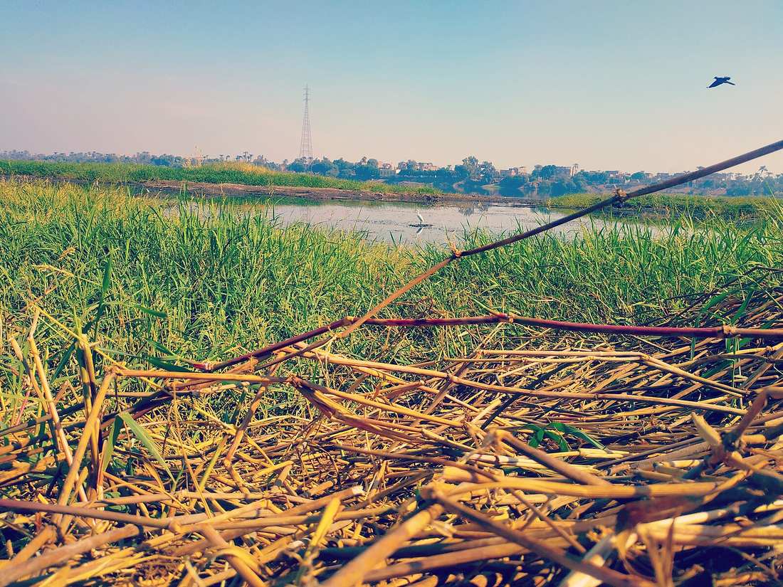 Nile river in Al Mahrousa village in Qena and Dendera, Egypt