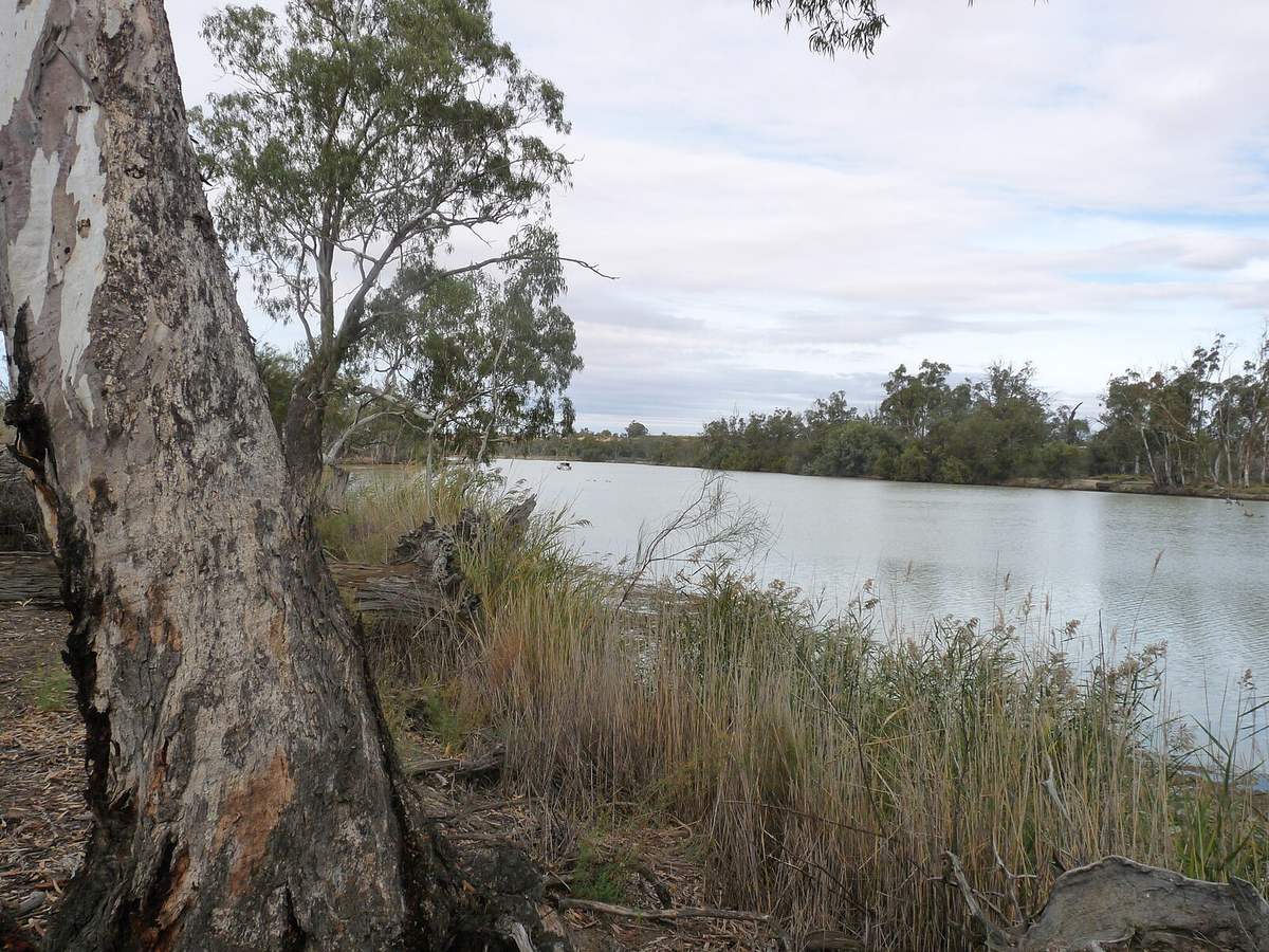 Riverfront and cruise landing at Renmark, South Australia