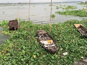 Featured image for Sa Đéc River Cruise Port: Local Boats, Market and Flower Village