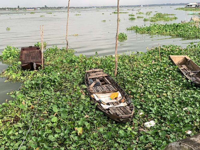 Boat on the Mekong River at Sa Đéc, Vietnam