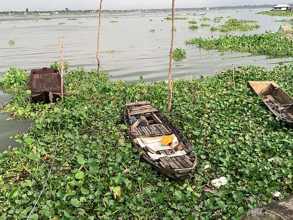 Boat on the Mekong River at Sa Đéc, Vietnam