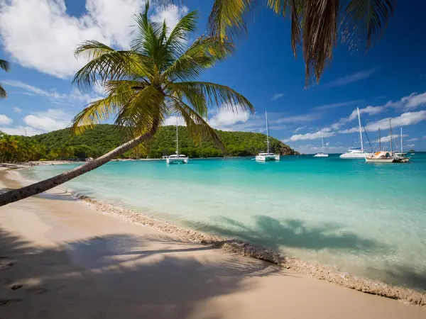 Sailboats anchored at Salt Whistle Bay on Mayreau