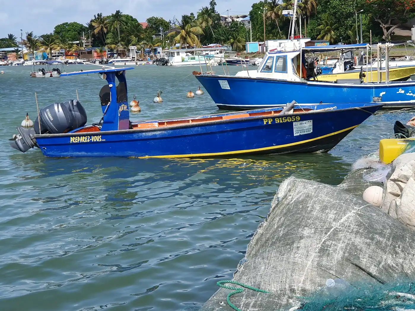 Boats moored at a marina in Sainte-Rose, Guadeloupe