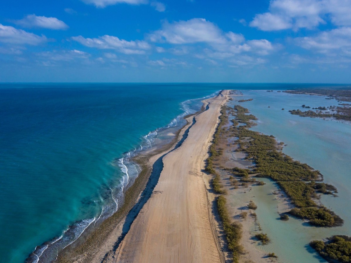 Aerial view of a sandy Sir Bani Yas Island coastline between blue sea and mangroves