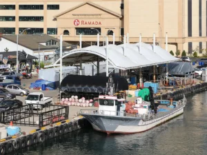 Featured image for Sokcho Cruise Port: Terminal, Seoraksan and Market