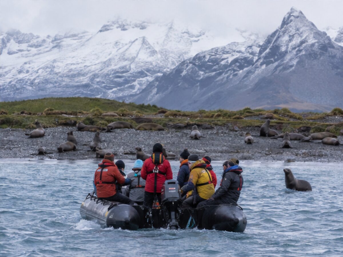 Expedition passengers approaching a South Georgia beach by Zodiac with fur seals ashore