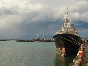 Featured image for Timaru Cruise Port: Berths, the Walk and Caroline Bay
