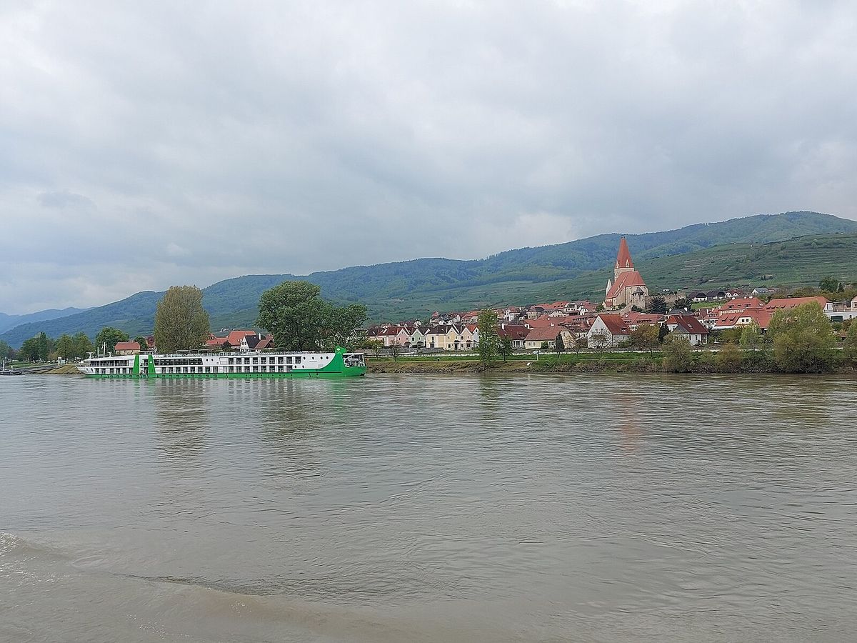 20230502.Danube bei Weißenkirchen.-011 in Weißenkirchen, Austria