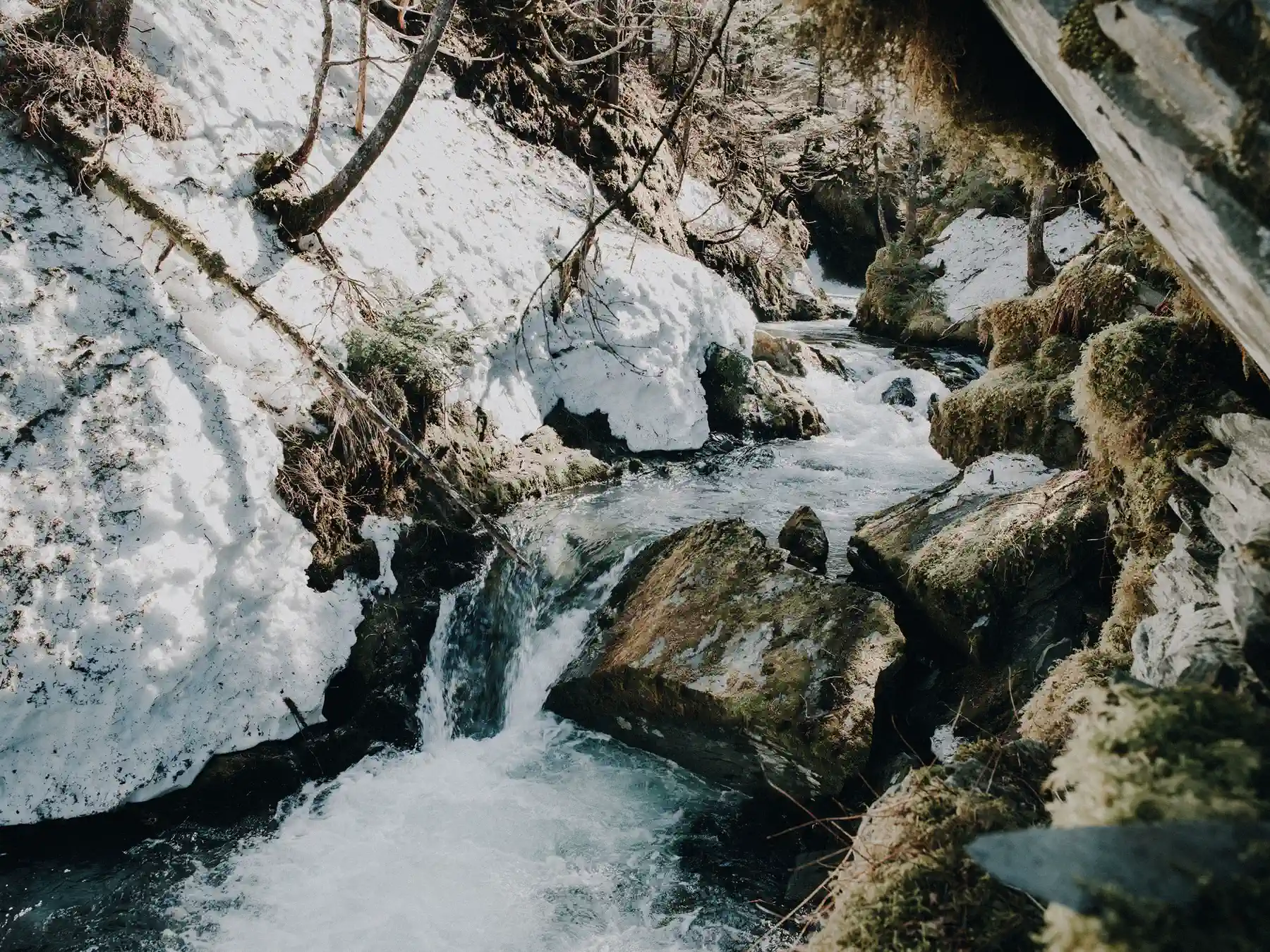Mountain stream and snow beside Whittier, Alaska