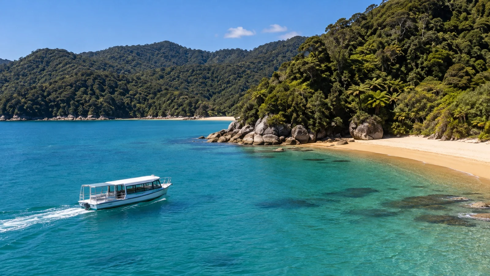 Scenic boat off Abel Tasman National Park beach