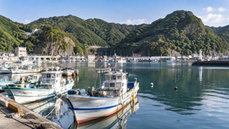 Fishing boats moored in Aburatsu harbor beneath green hills