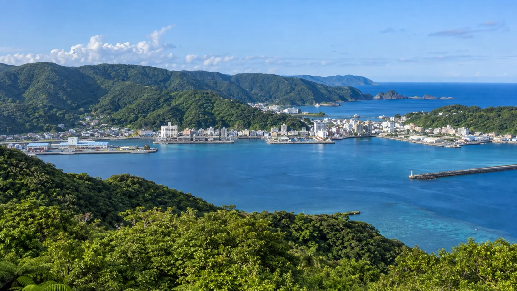 Amami Oshima subtropical harbor and forested hills near Naze