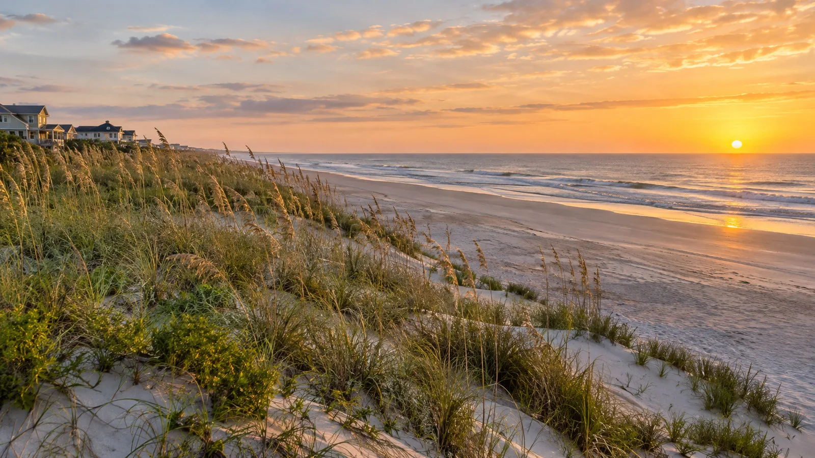 Amelia Island beach and dunes