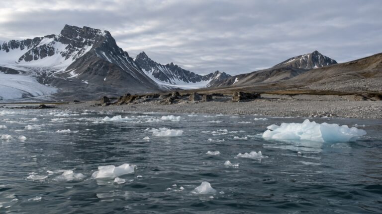Sea approach to the remote Smeerenburg coast in Svalbard