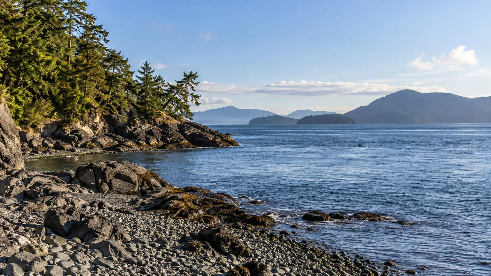 Washington Park Anacortes shoreline with rocky beach, evergreens and San Juan Islands across water