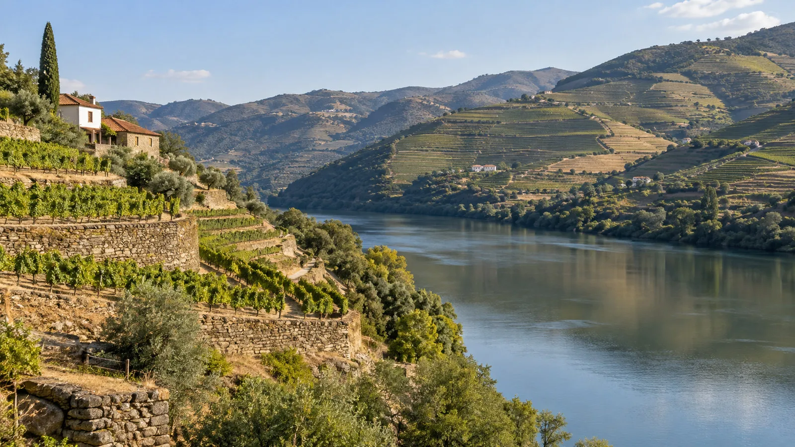 Terraced vineyards beside the Douro River near Barca d'Alva