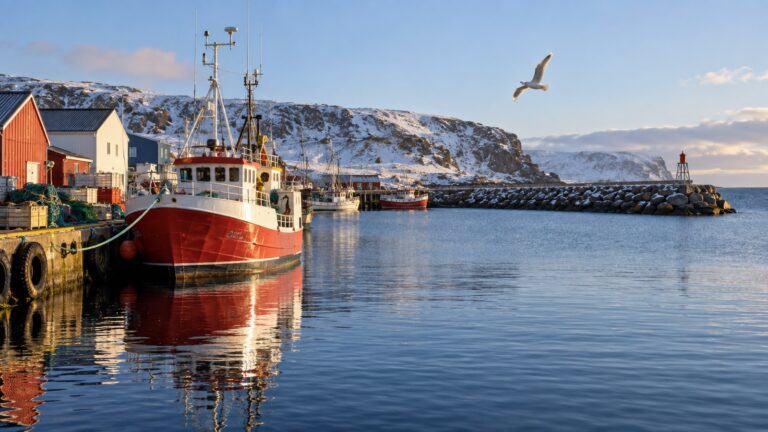 Berlevåg fishing harbor and coastal ship quay