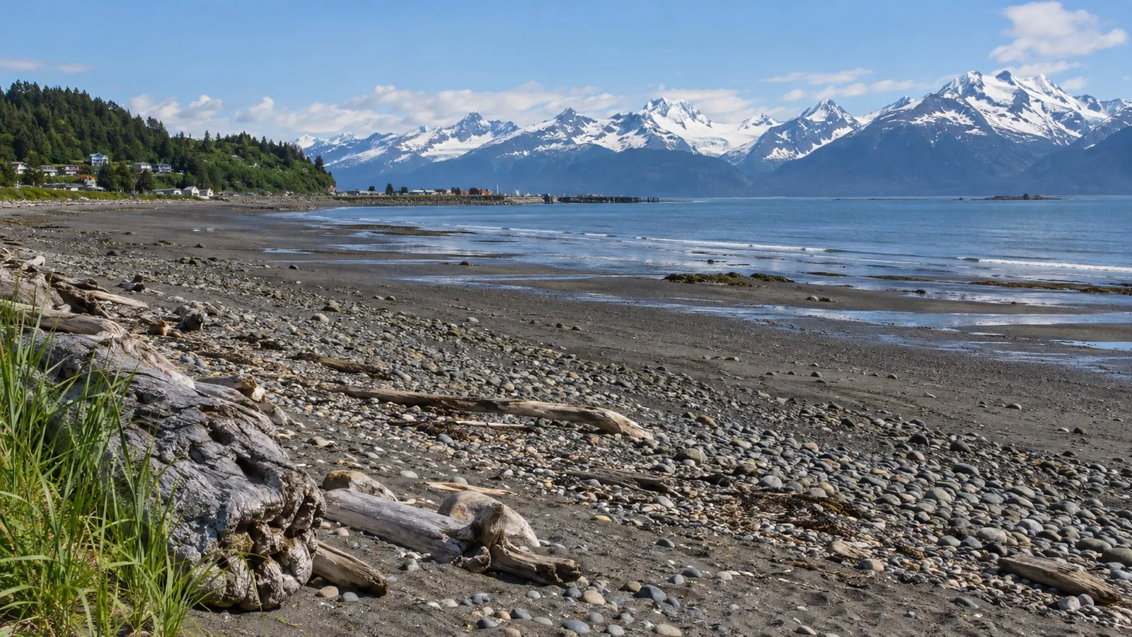 Driftwood and open shore at Bishop’s Beach in Homer Alaska