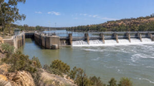 Featured image for Blanchetown River Cruise Port: Lock 1 and Winery Reality