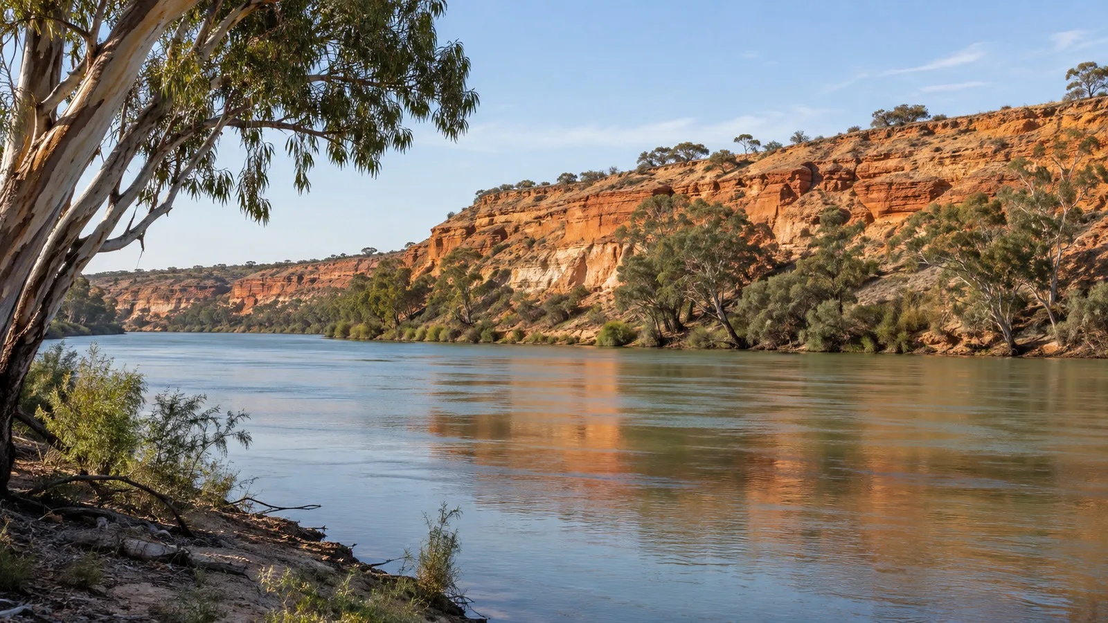 Murray River red cliffs and gum trees near Blanchetown, South Australia