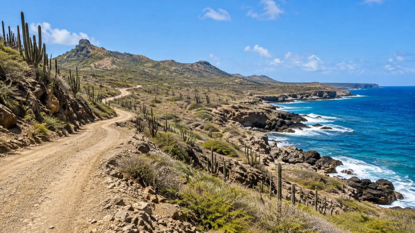 Rugged cactus landscape in Bonaire’s Washington Slagbaai National Park