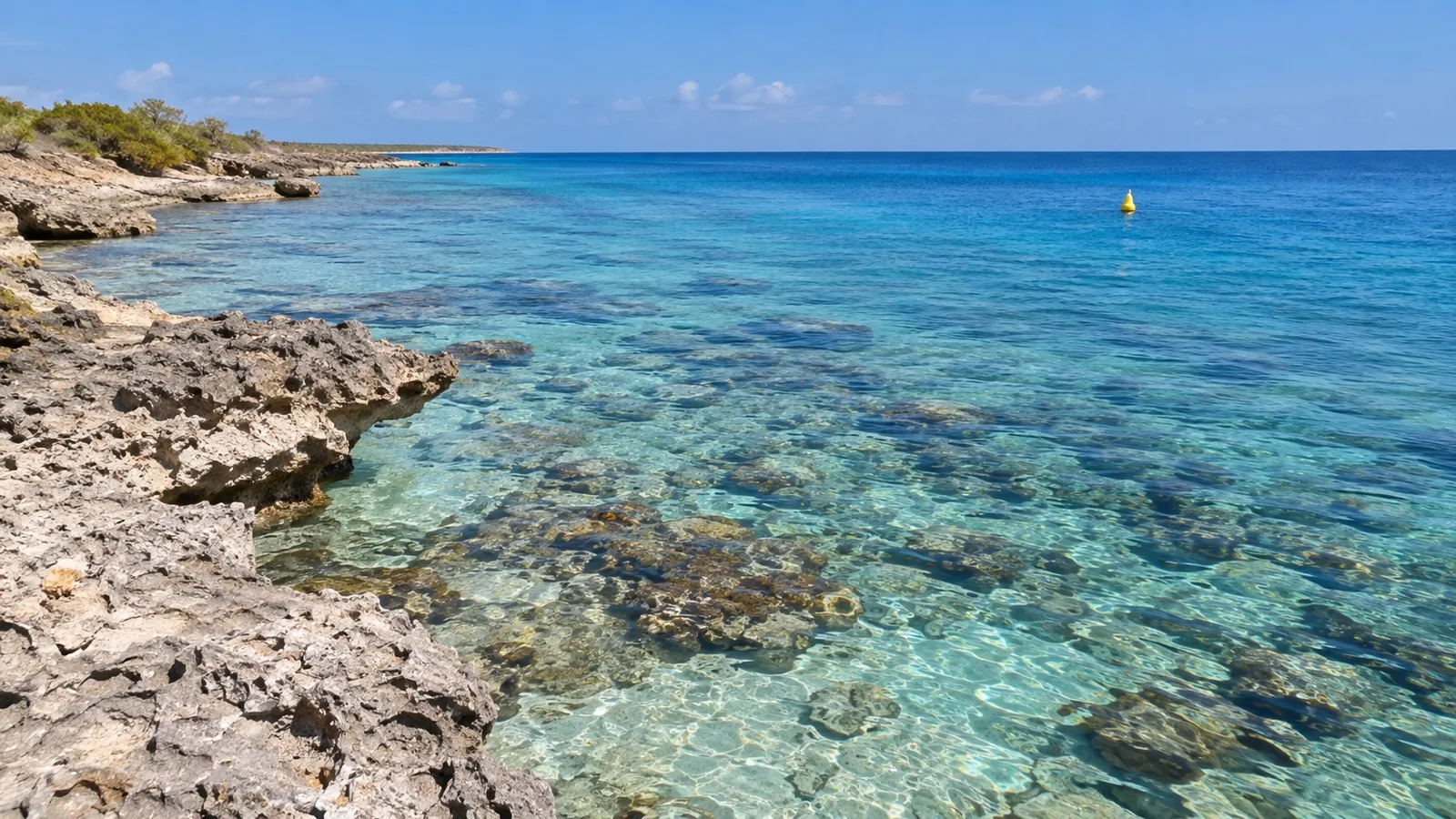 Rocky Bonaire coast and transparent water over shallow coral reef