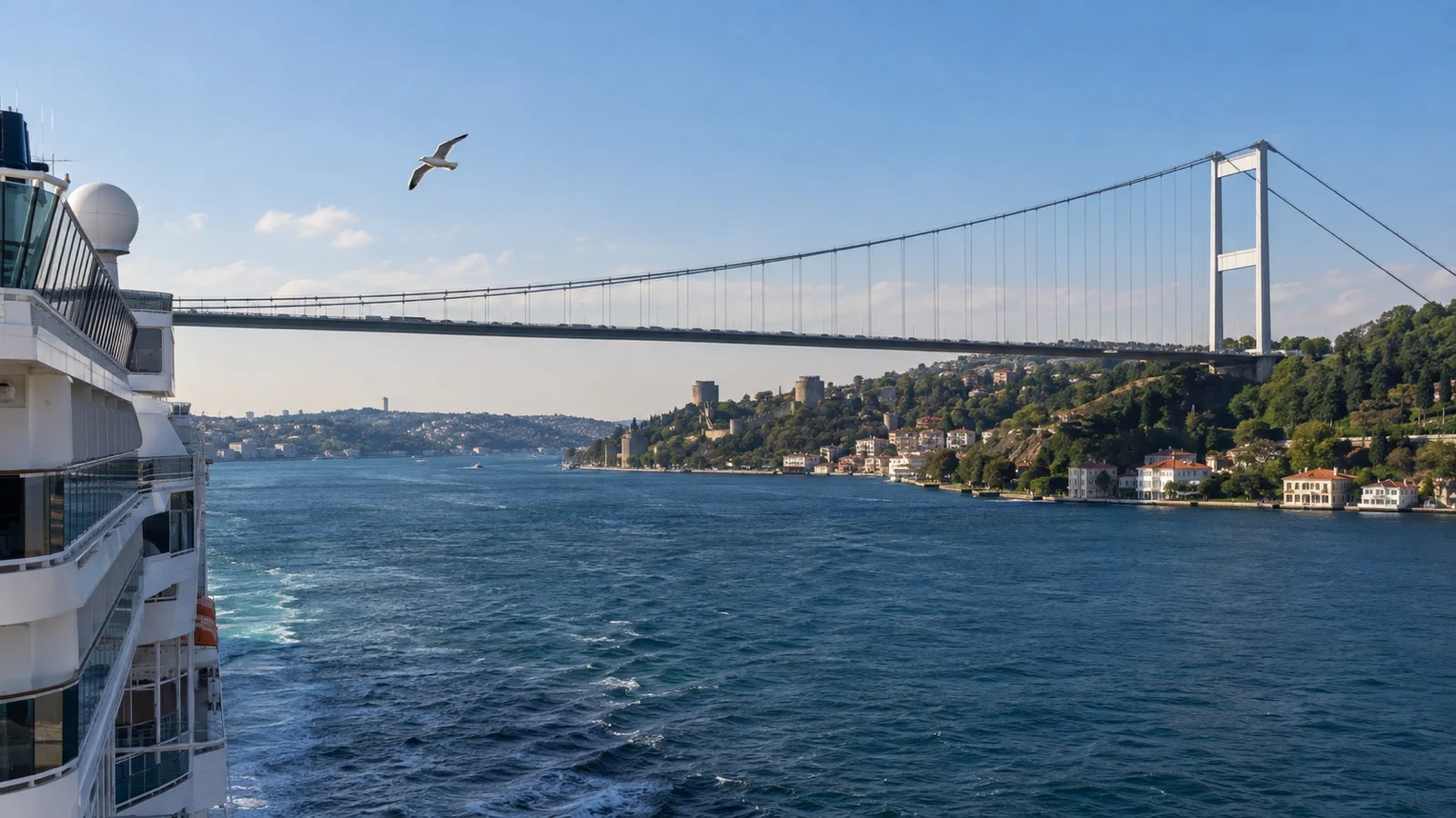 View from cruise ship approaching a suspension bridge over the Bosphorus