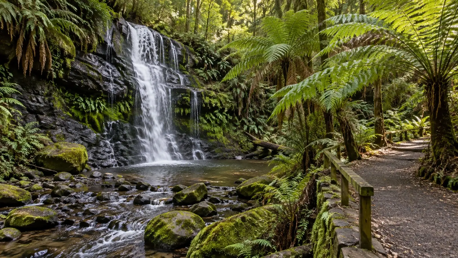 Oldaker Falls cascading among ferns in Burnie Park