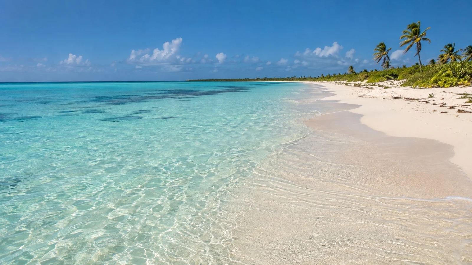 Low-lying Anegada island beach