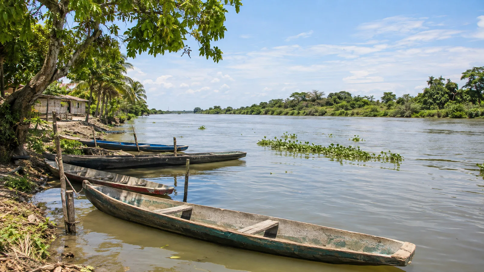 Local canoes moored along the Canal del Dique in Bolívar, Colombia