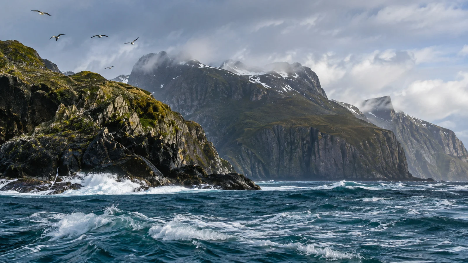 Cabo de Hornos National Park Chile rugged far-south archipelago cliffs, cold waves and seabirds, no people