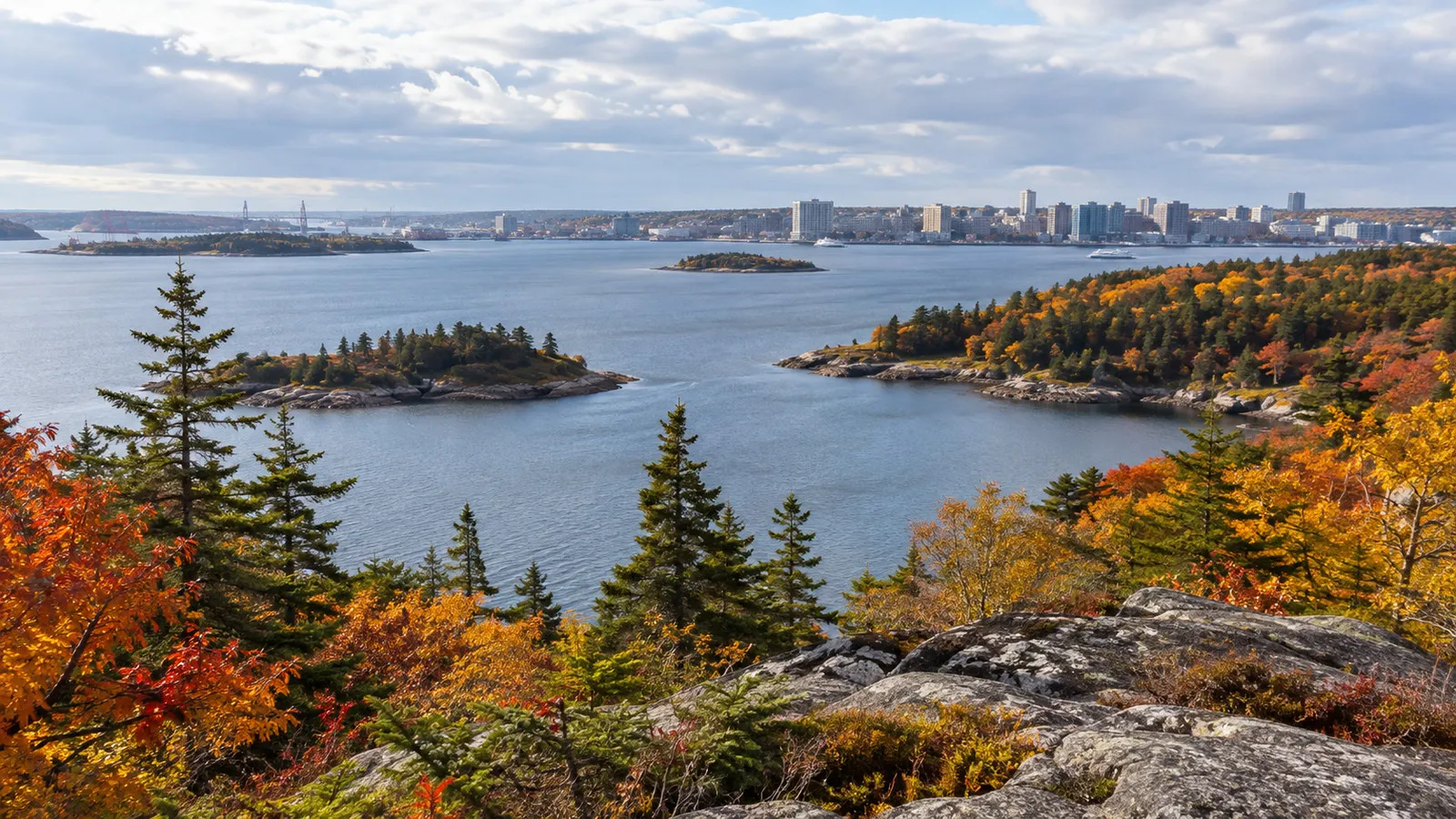 Fall foliage around Halifax Nova Scotia harbor