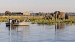 Featured image for Chobe River Cruise: Kasane, Border Crossings and Game Viewing by Boat
