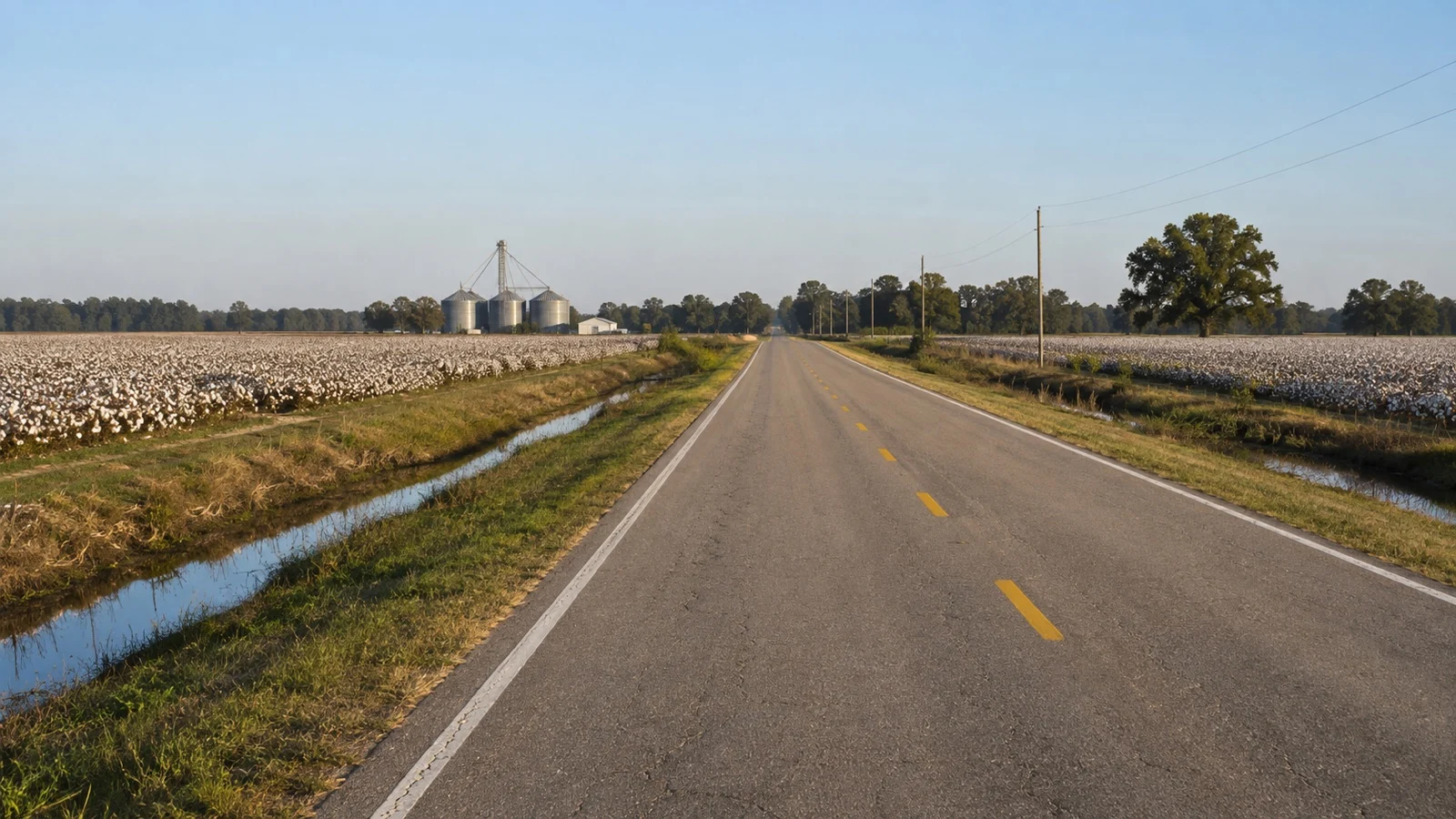 Long road through flat cotton fields and drainage ditches near Cleveland, Mississippi