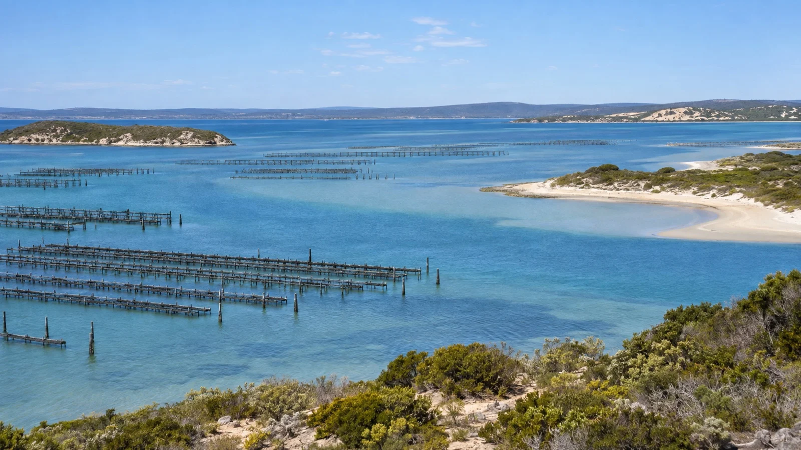 Oyster-growing estuary at Coffin Bay in South Australia