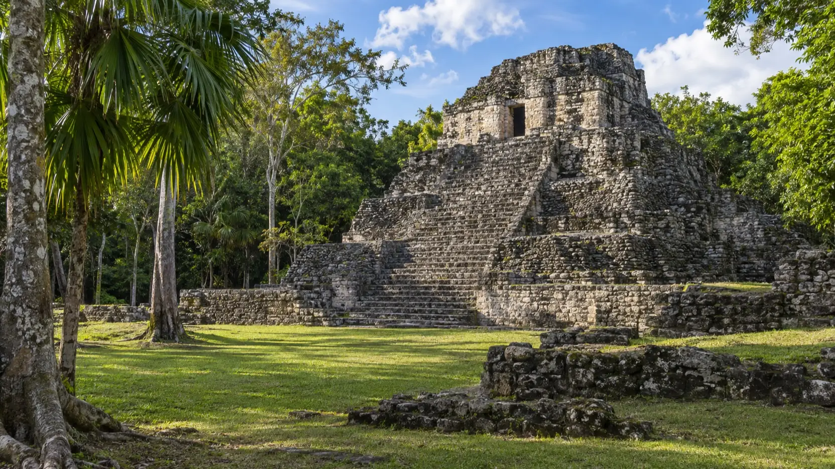 Maya temple amid jungle at Chacchoben near Costa Maya