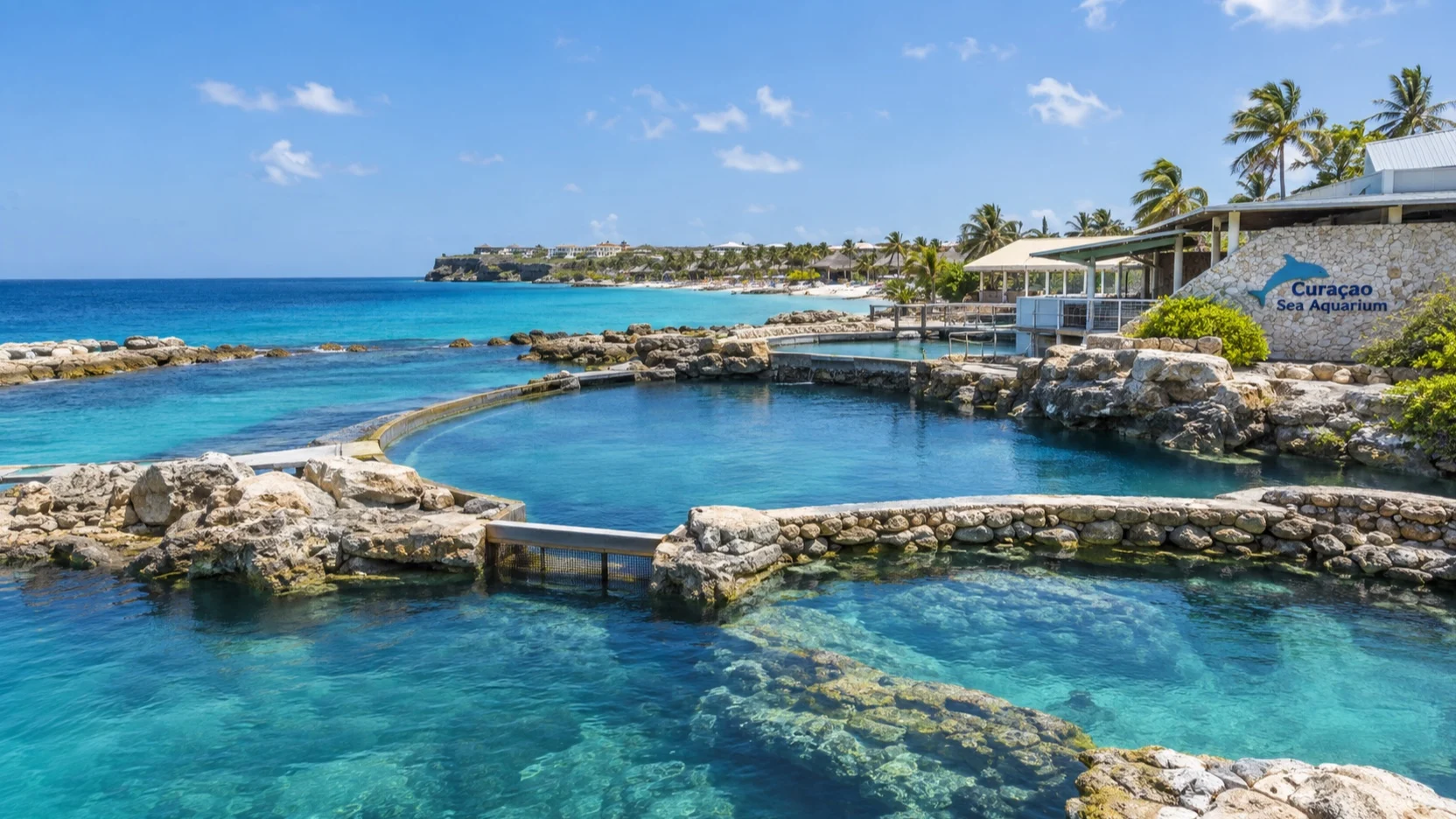 Open-air marine exhibits at Curaçao Sea Aquarium